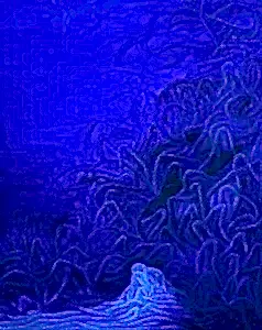 AHMET YEŞİL tarafından 2016 yılında 100x80 cm ölçülerinde Tuval üzeri yağlı boya tekniği ile yapılmıştır.