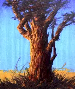 AHMET YEŞİL tarafından 2015 yılında 120x90 cm ölçülerinde Tuval üzeri yağlı boya tekniği ile yapılmıştır.