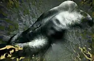 NECMETTİN ÖZLÜ tarafından 2015 yılında 63x97 cm ölçülerinde Hahnemühle kağıt üzeri karışık teknik tekniği ile yapılmıştır.