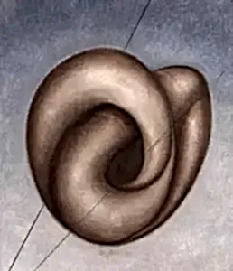 NECMETTİN ÖZLÜ tarafından 2009 yılında 50x60 cm ölçülerinde Tuval üzeri yağlı boya tekniği ile yapılmıştır.