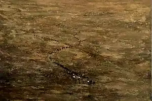 SALİH ÇAKAR tarafından 2025 yılında 90x120 cm ölçülerinde Tuval üzeri yağlı boya tekniği ile yapılmıştır.