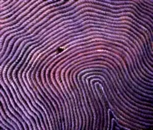 AHMET YEŞİL tarafından yapılmıştır.