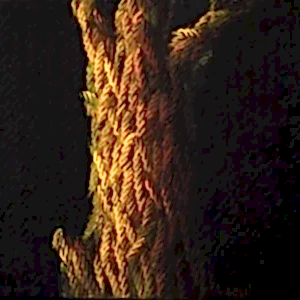 AHMET YEŞİL tarafından 40x40 cm ölçülerinde Tuval üzeri yağlı boya tekniği ile yapılmıştır.