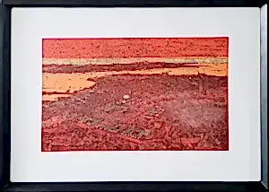 DEVRİM ERBİL tarafından 70x100 cm ölçülerinde Serigrafi tekniği ile yapılmıştır.