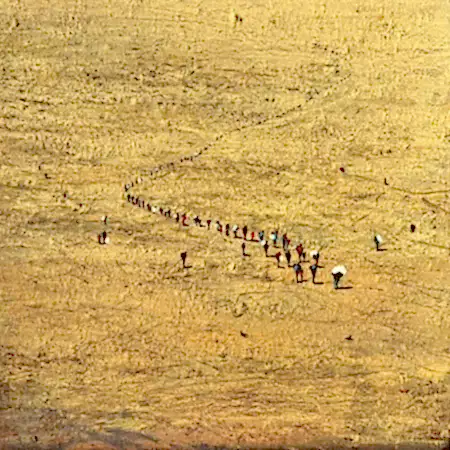 SALİH ÇAKAR tarafından 2025 yılında 25x25 cm ölçülerinde Tuval üzeri yağlı boya tekniği ile yapılmıştır.