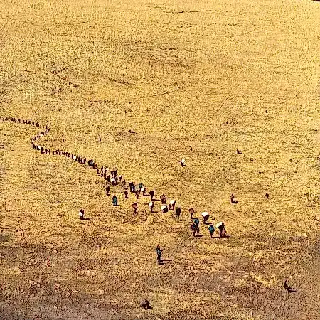 SALİH ÇAKAR tarafından 2025 yılında 25x25 cm ölçülerinde Tuval üzeri yağlı boya tekniği ile yapılmıştır.