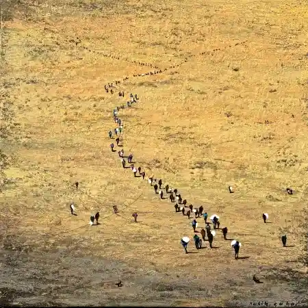 SALİH ÇAKAR tarafından 2025 yılında 25x25 cm ölçülerinde Tuval üzeri yağlı boya tekniği ile yapılmıştır.