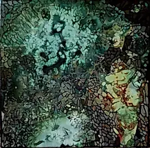 BİNNUR YÜCEBAŞ RUOCCO tarafından 2016 yılında 25x25 cm ölçülerinde Tuval üzeri yağlı boya tekniği ile yapılmıştır.