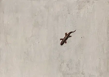 YİĞİT ALTIPARMAKOĞULLARI tarafından 2010 yılında 50x70 cm ölçülerinde Tuval üzeri yağlı boya tekniği ile yapılmıştır.