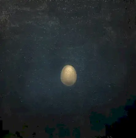 YİĞİT ALTIPARMAKOĞULLARI tarafından 2026 yılında 50x50 cm ölçülerinde Tuval üzeri yağlı boya tekniği ile yapılmıştır.