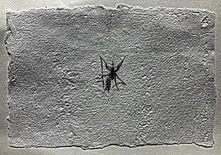 YİĞİT ALTIPARMAKOĞULLARI tarafından 2026 yılında 15x23 cm ölçülerinde Kağıt üzeri mürekkepli kalem tekniği ile yapılmıştır.