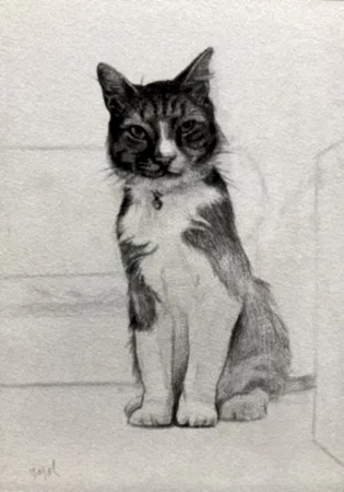 YİĞİT ALTIPARMAKOĞULLARI tarafından 2026 yılında 29,7x21 cm ölçülerinde Kağıt üzeri kurşunkalem tekniği ile yapılmıştır.