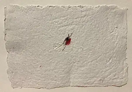 YİĞİT ALTIPARMAKOĞULLARI tarafından 2026 yılında 15x23 cm ölçülerinde Kağıt üzeri mürekkepli kalem tekniği ile yapılmıştır.