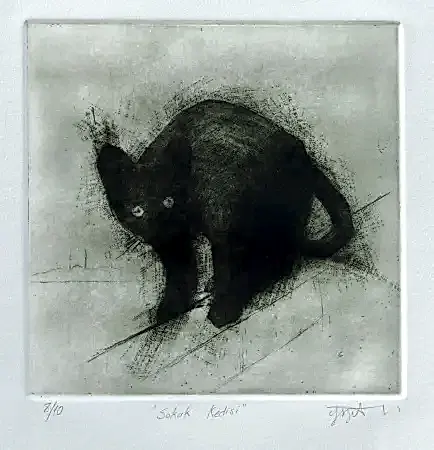 YİĞİT ALTIPARMAKOĞULLARI tarafından 2011 yılında 17x17 cm ölçülerinde Gravür tekniği ile yapılmıştır.