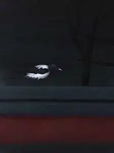 YİĞİT ALTIPARMAKOĞULLARI tarafından 2016 yılında 80x60 cm ölçülerinde Tuval üzeri yağlı boya tekniği ile yapılmıştır.