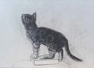 YİĞİT ALTIPARMAKOĞULLARI tarafından 2012 yılında 24x33 cm ölçülerinde Karton üzeri füzen tekniği ile yapılmıştır.