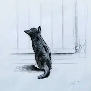 YİĞİT ALTIPARMAKOĞULLARI tarafından 2012 yılında 14x14 cm ölçülerinde Kağıt üzeri kurşun kalem tekniği ile yapılmıştır.