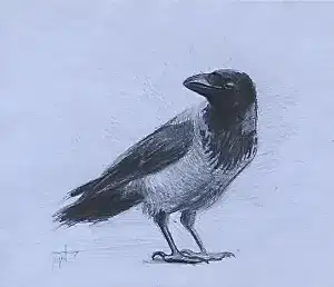 YİĞİT ALTIPARMAKOĞULLARI tarafından 2012 yılında 14x17 cm ölçülerinde Kağıt üzeri kurşun kalem tekniği ile yapılmıştır.