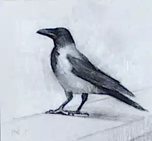 YİĞİT ALTIPARMAKOĞULLARI tarafından 2012 yılında 17x31 cm ölçülerinde Karton üzeri karışık teknik tekniği ile yapılmıştır.