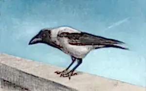 YİĞİT ALTIPARMAKOĞULLARI tarafından 2012 yılında 21x34 cm ölçülerinde Karton üzeri karışık teknik tekniği ile yapılmıştır.