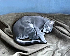 YİĞİT ALTIPARMAKOĞULLARI tarafından 2016 yılında 40x50 cm ölçülerinde Tuval üzeri yağlı boya tekniği ile yapılmıştır.